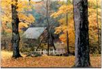 Maine Grouse hunting cabin