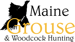 Maine grouse and woodcock hunting